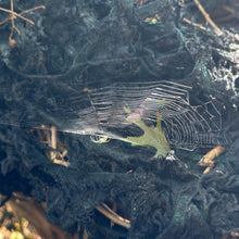 Load image into Gallery viewer, Entwined Ovism I - The Transformation