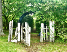 Load image into Gallery viewer, The Woven Gate
