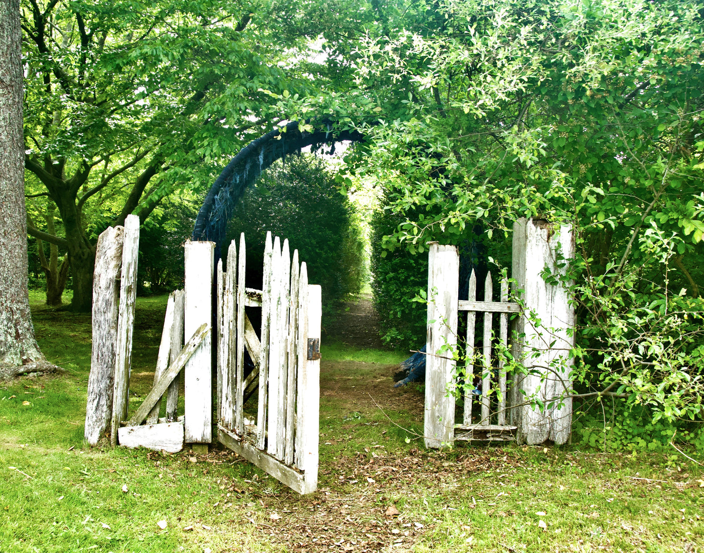 Gateway to the Gateway